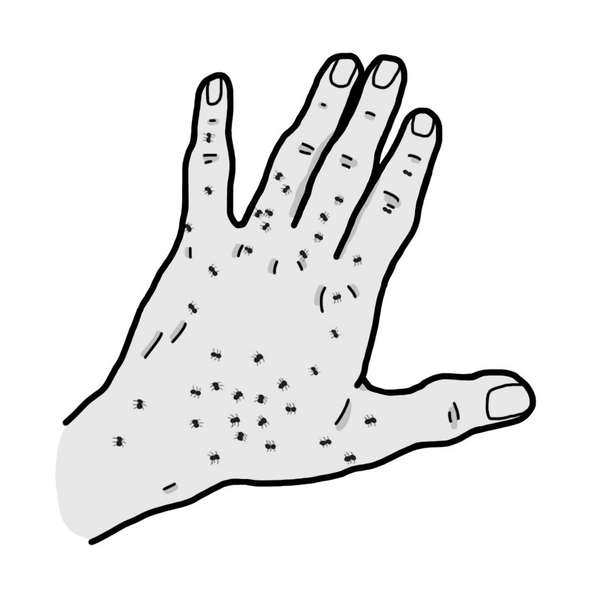 Allucinazioni con insetti