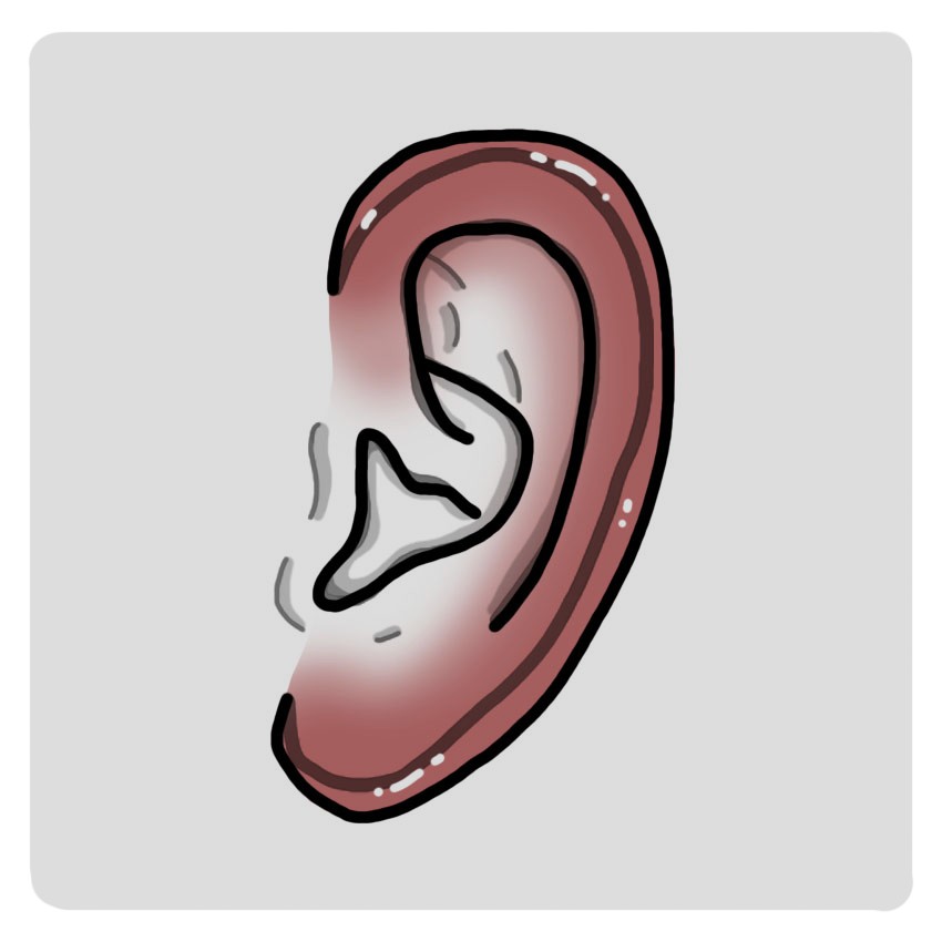 Oreille rouge/enflammée