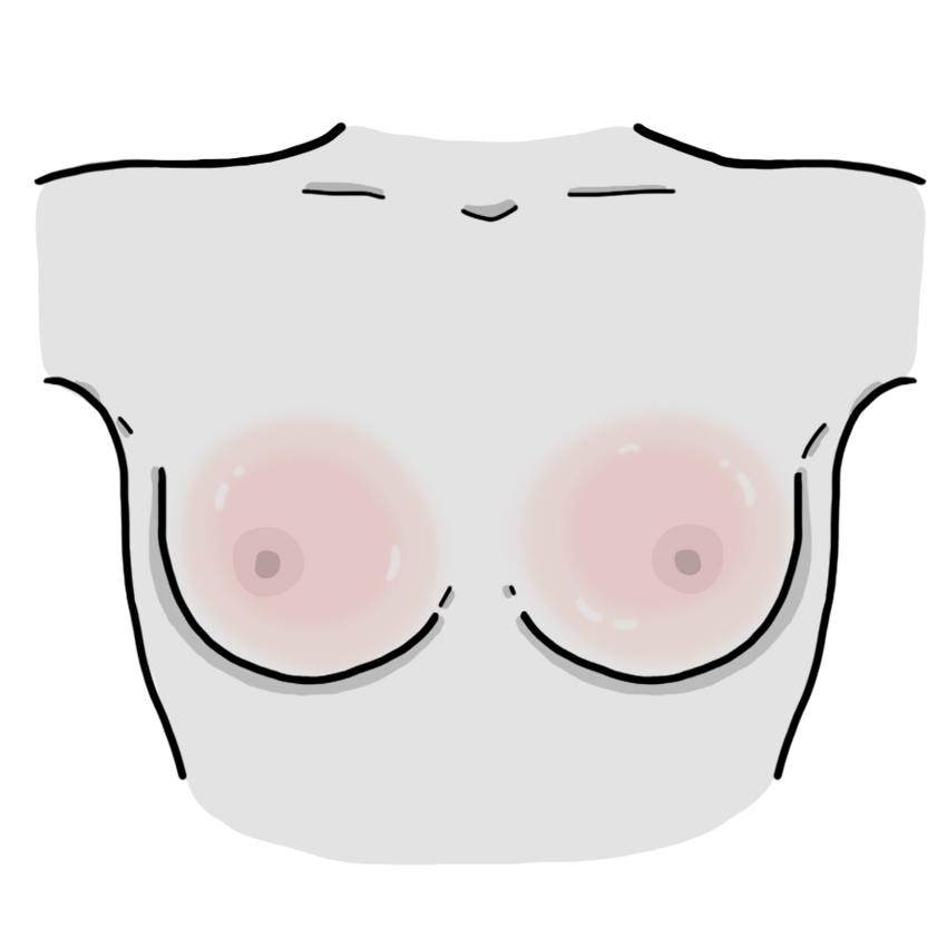 Seins plus tendus