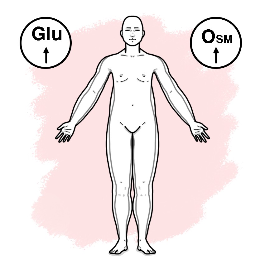 Hyperglycaemic hyperosmolar non-ketotic state