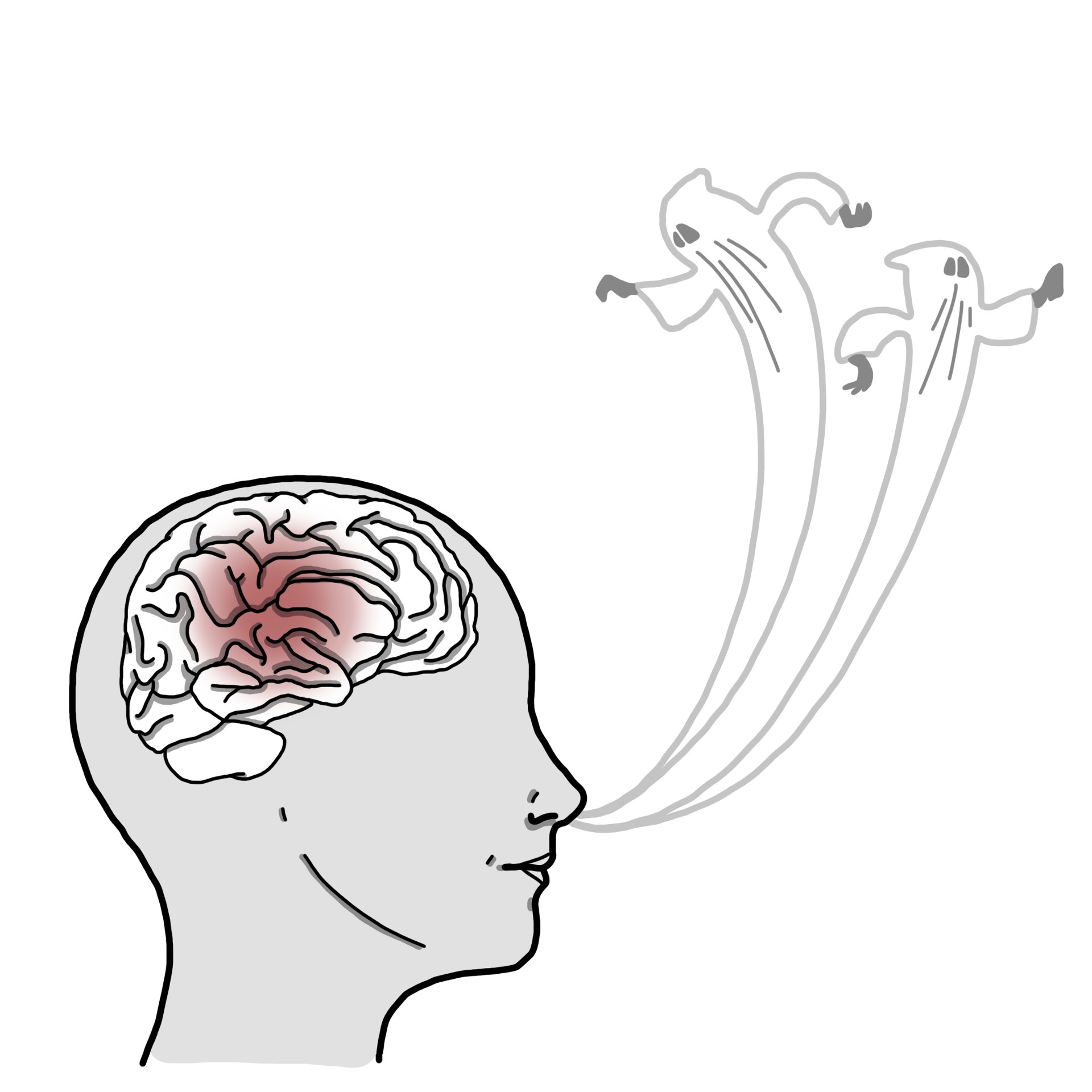 Olfactory hallucinations