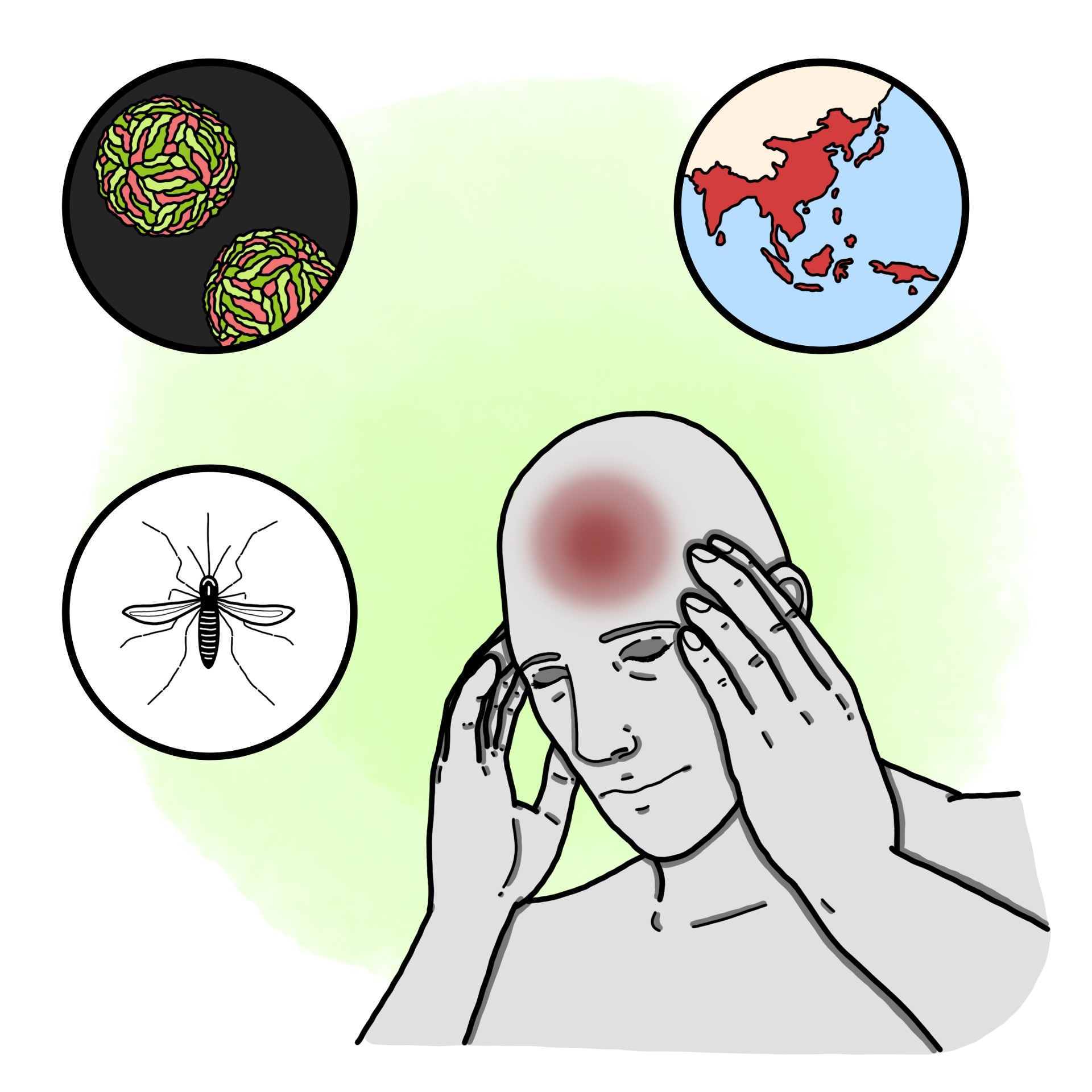 Japanese encephalitis